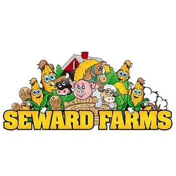 company image